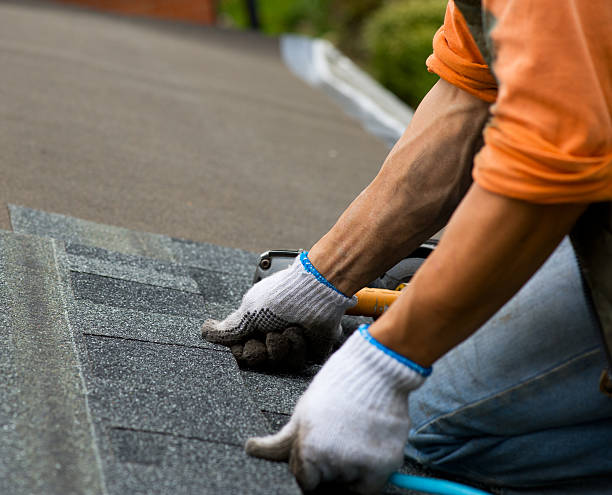 Best Roof Leak Repair  in Ferrum, VA