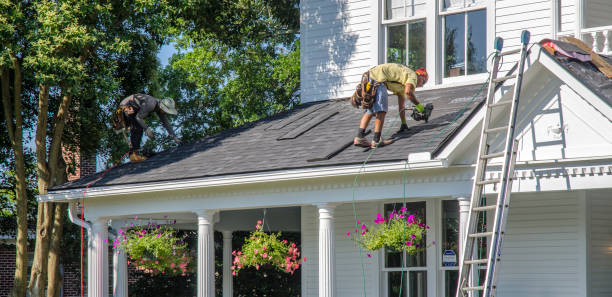Best Gutter Installation and Roofing  in Ferrum, VA